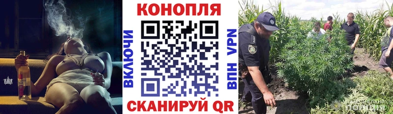 Каннабис план  Яранск 